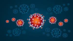 Everything You Need to Know About Coronavirus Thus Far