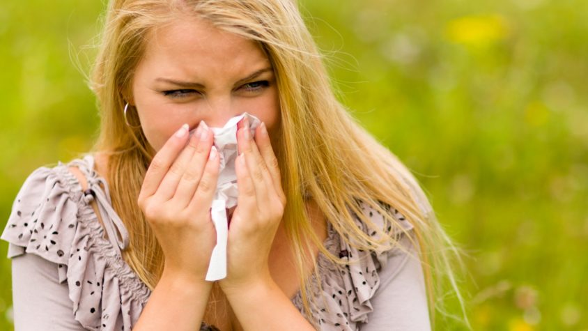 Tips for Allergy Season