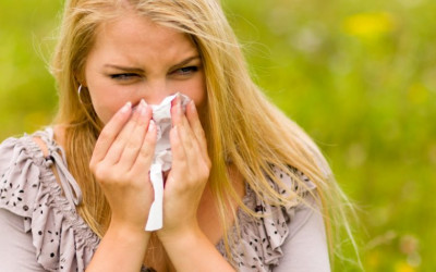 Tips for Allergy Season