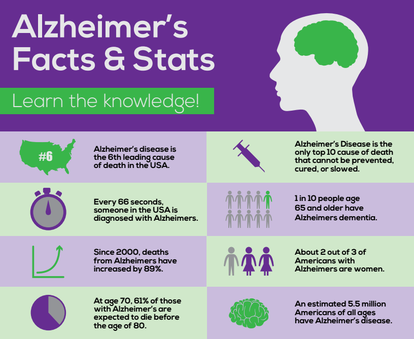 Brain Training Effectiveness