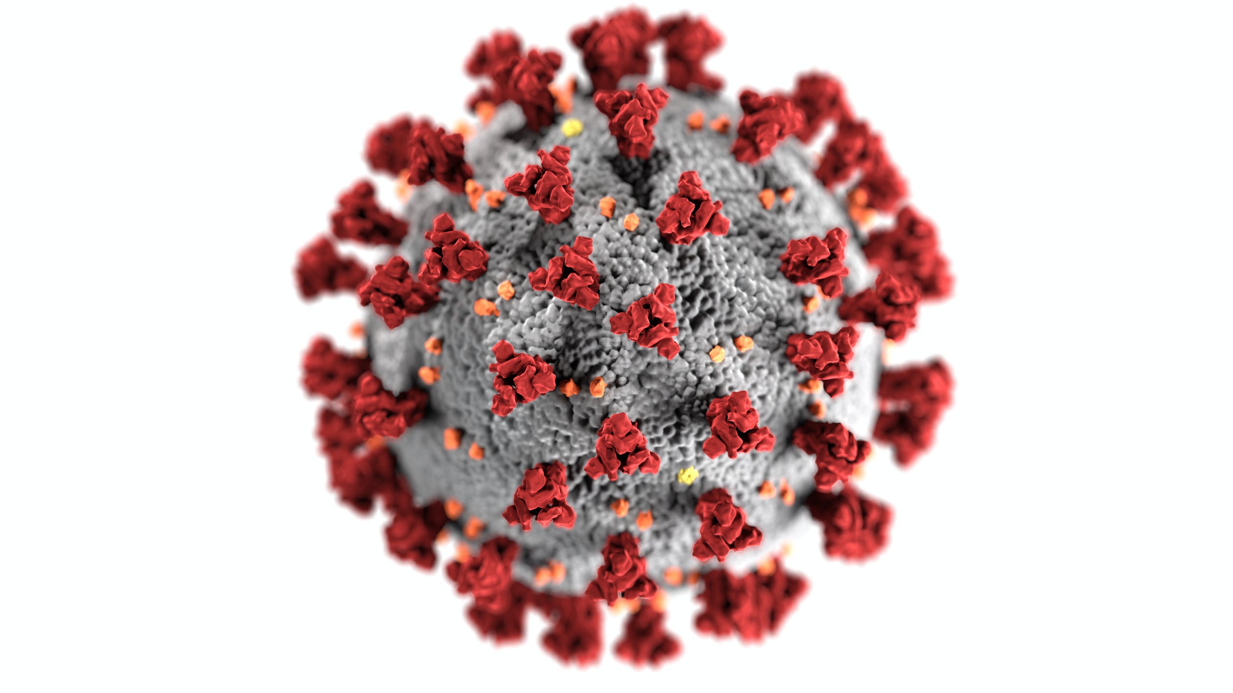 Coronavirus Spreads Further