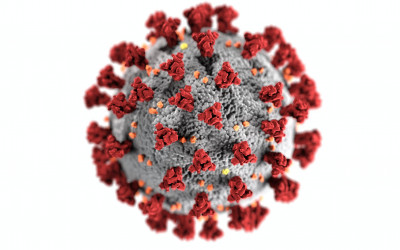 Coronavirus Spreads Furth...