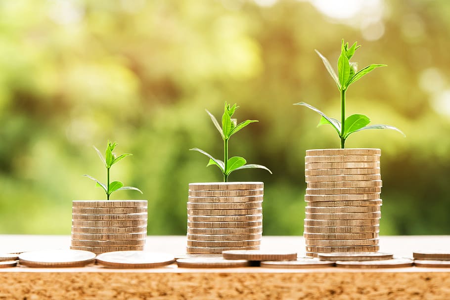 Plant Your Investments And Grow Your Savings With These 8 Financial Tips!