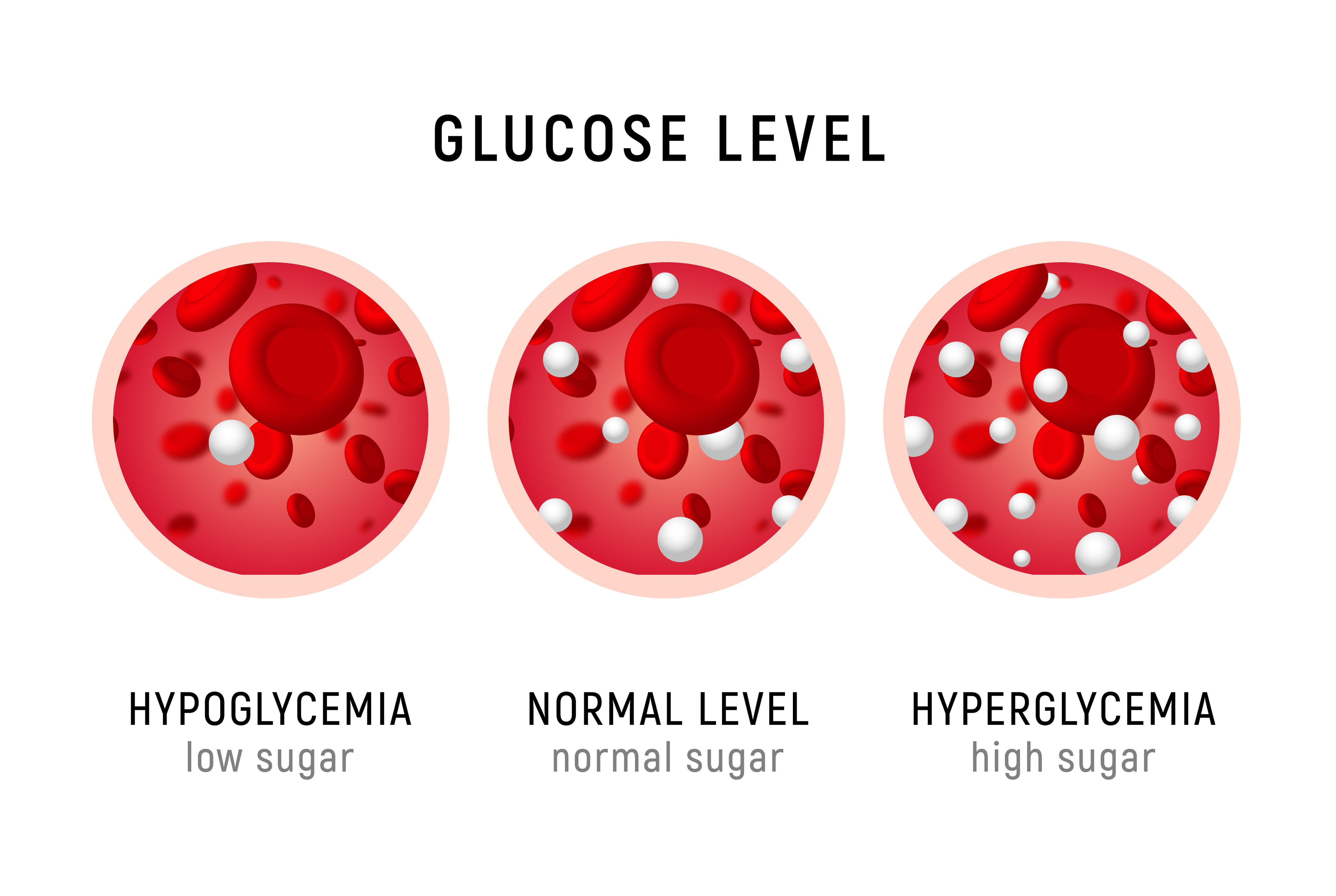 Maintaining a Healthy Blood Sugar Level