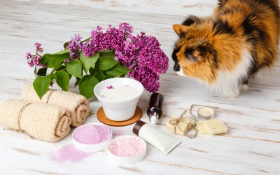 Pet Safe Essential Oils a...