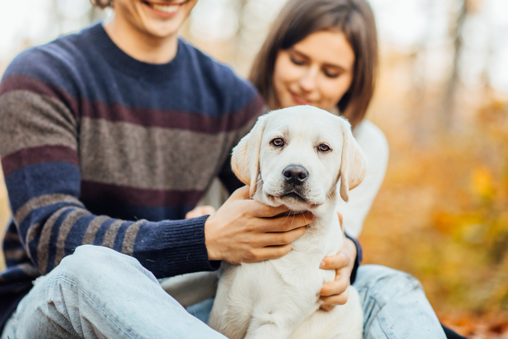 The Significance of Service Animals