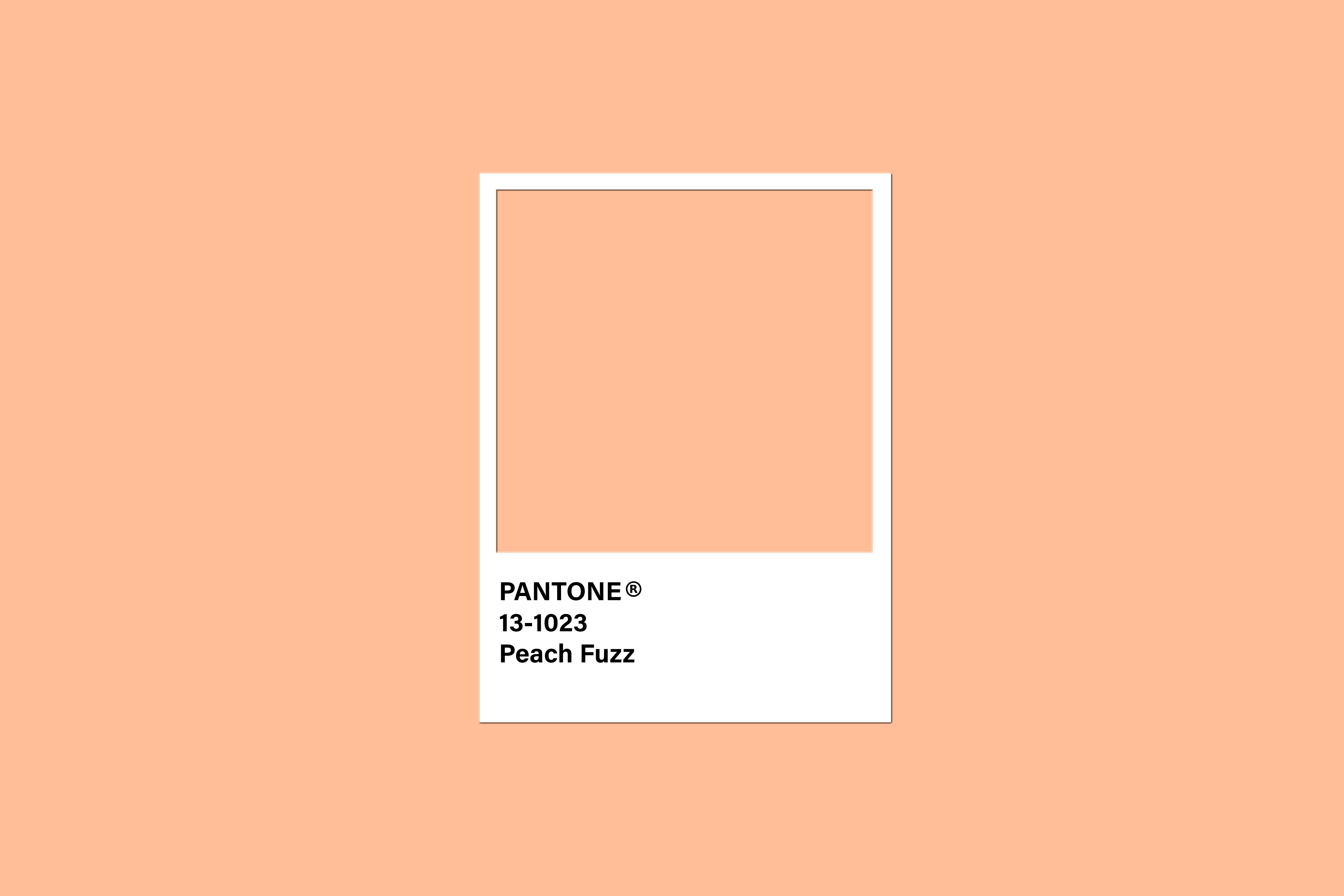The Warmth of Peach: Peach Fuzz - Pantone’s 2024 Color of the Year