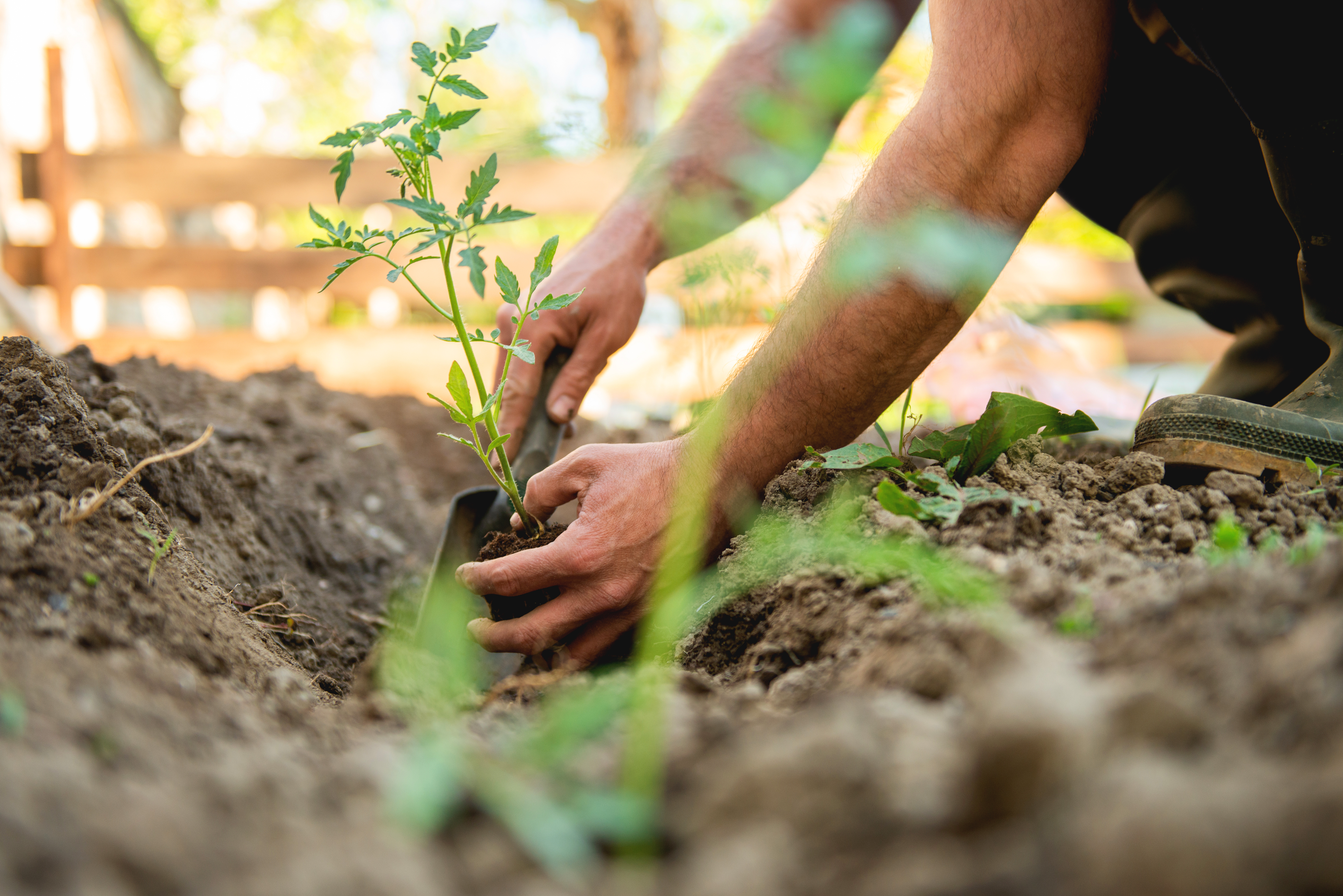 Garden Meditation: Steps to Reach Pure Bliss