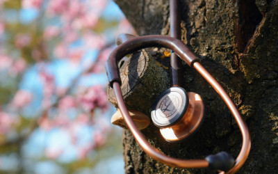 Get Your Mind and Body Re...