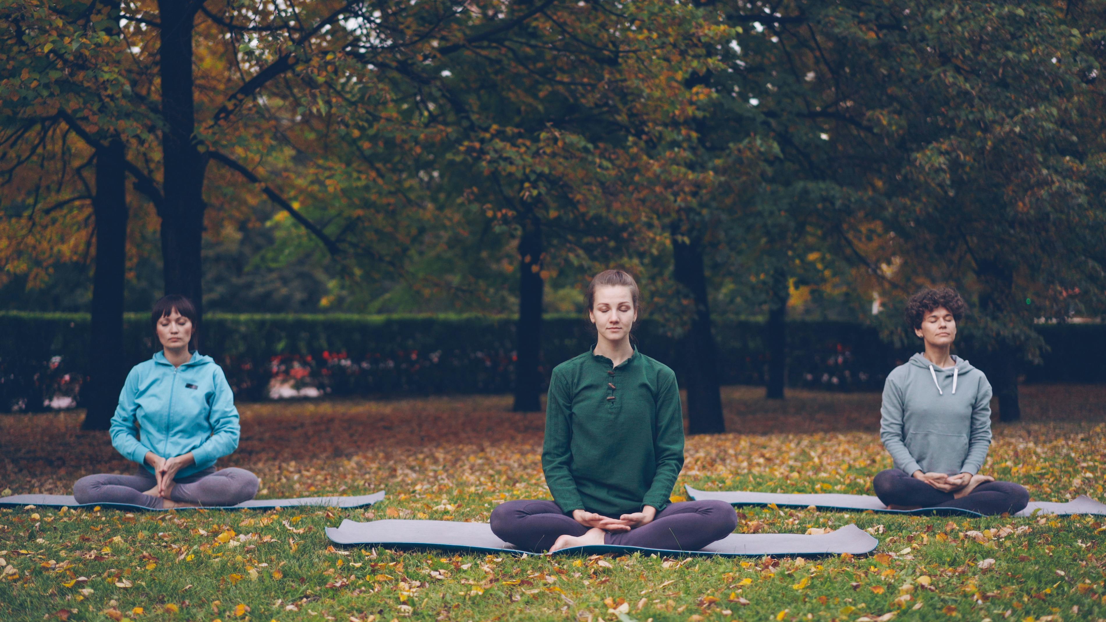 Meditation for Beginners: A Guide for Learners