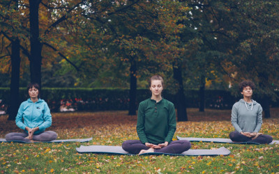 Meditation for Beginners:...